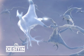 Desitin Pharma Schweiz<br>Sprecherin: Colette Nussbaum<br>Produktion: epha.ch